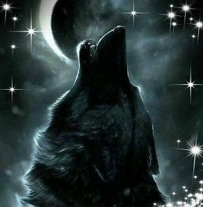 Meet your Posher, Arnold a